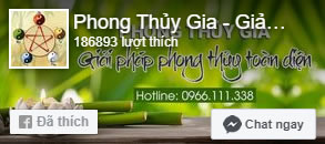 phong thuy gia