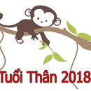 Tu-vi-2018-cho-nguoi-tuoi-Than