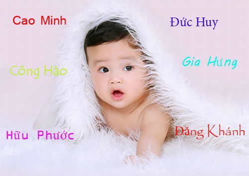 dat-ten-con-theo-phong-thuy-tuoi-suu-tuoi-trau